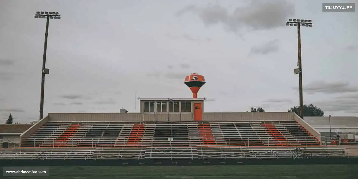 为什么选择我们